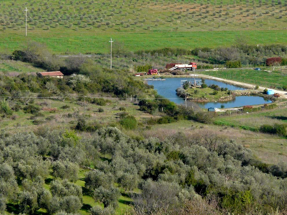 Lago artificiale da naturalizzare in piena Maremma!